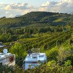 Saxida Wine & Camping Resort - Bild 17 Saxida Wine & Camping Resort - Bild 17