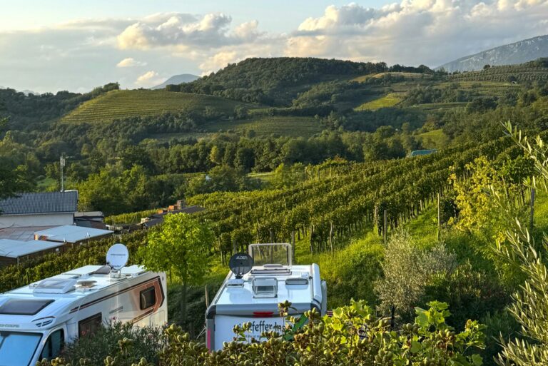 Saxida Wine & Camping Resort - Bild 17 Saxida Wine & Camping Resort - Bild 17