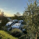 Saxida Wine & Camping Resort - Bild 18 Saxida Wine & Camping Resort - Bild 18