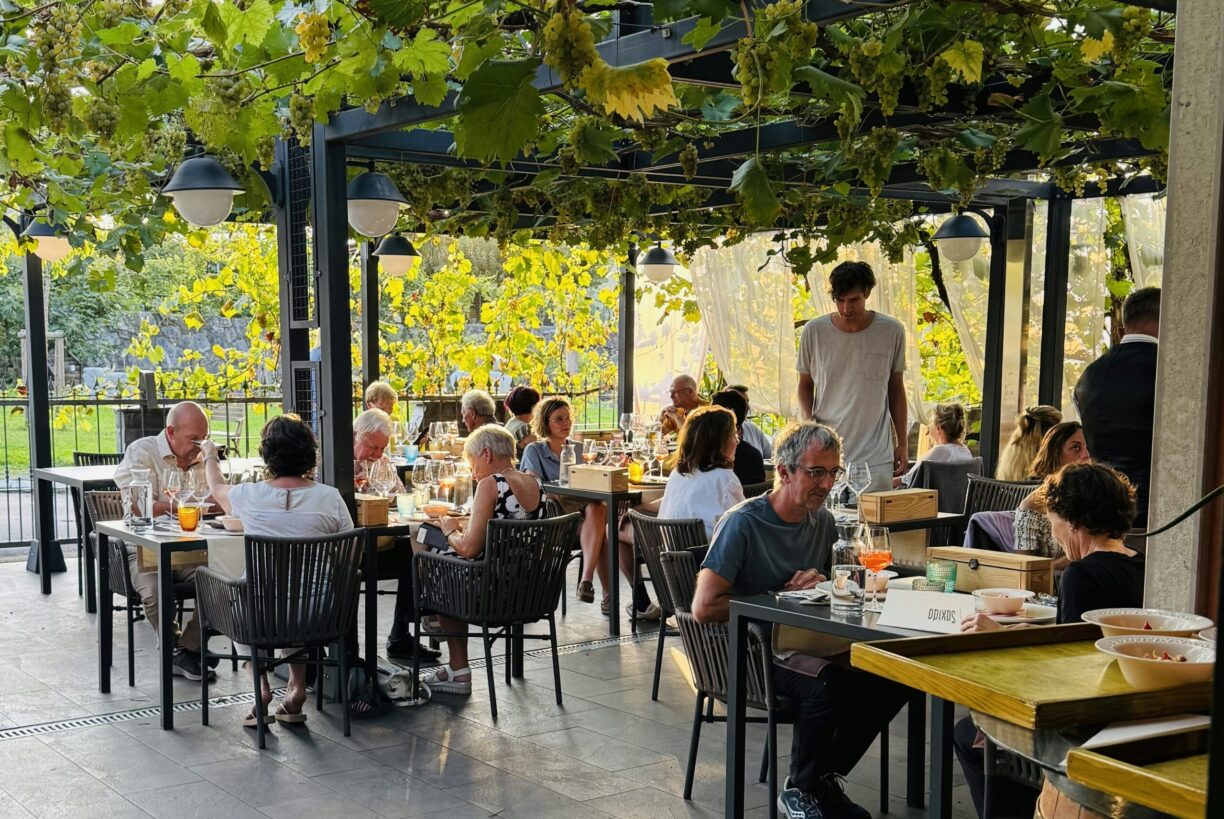 Saxida Wine & Camping Resort - Bild 19 Saxida Wine & Camping Resort - Bild 19