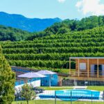 Saxida Wine & Camping Resort - Bild 2 Saxida Wine & Camping Resort - Bild 2