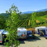 Saxida Wine & Camping Resort - Bild 3 Saxida Wine & Camping Resort - Bild 3