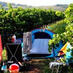 Saxida Wine & Camping Resort - Bild 5 Saxida Wine & Camping Resort - Bild 5