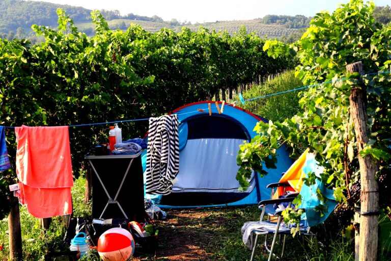 Saxida Wine & Camping Resort - Bild 5 Saxida Wine & Camping Resort - Bild 5