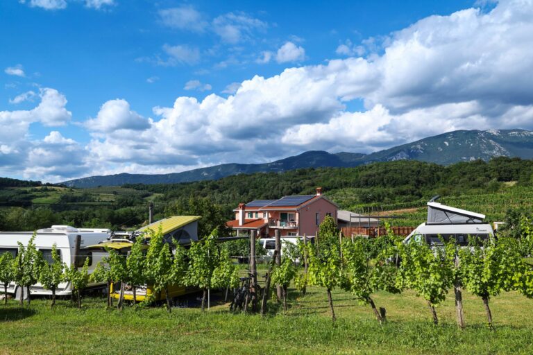 Saxida Wine & Camping Resort - Bild 7 Saxida Wine & Camping Resort - Bild 7