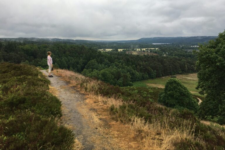 Sejs Bakker Camping - Bild 4