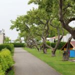 Siblu Camping In De Bongerd - Bild 2 Siblu Camping In De Bongerd - Bild 2