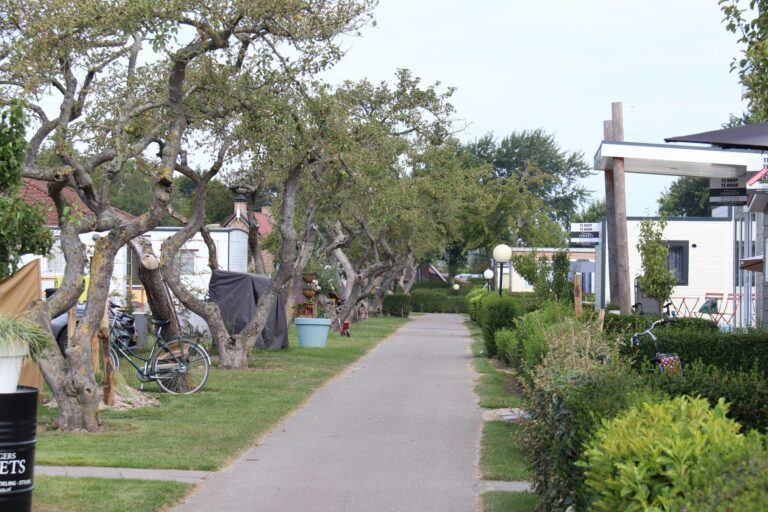 Siblu Camping In De Bongerd - Bild 8 Siblu Camping In De Bongerd - Bild 8