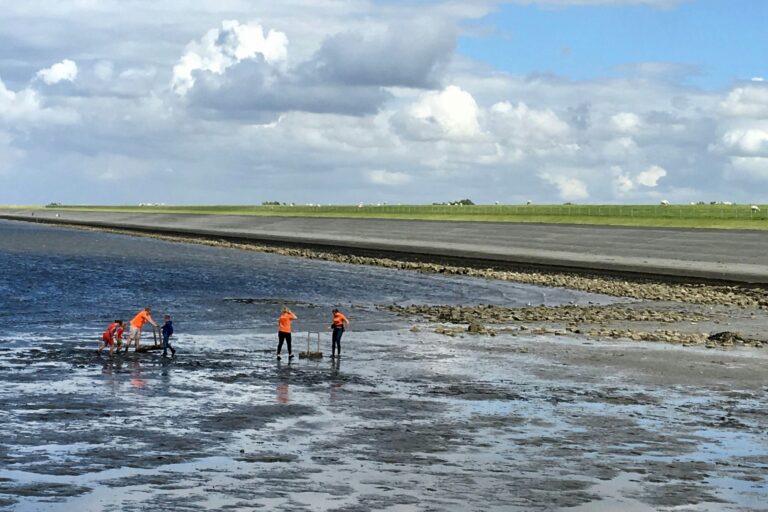 Siblu Camping Lauwersoog - Bild 16