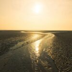 Siblu Camping Lauwersoog - Bild 17