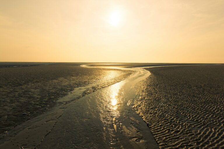 Siblu Camping Lauwersoog - Bild 17