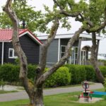 Siblu Camping In De Bongerd - Bild 1 Siblu Camping In De Bongerd - Bild 1