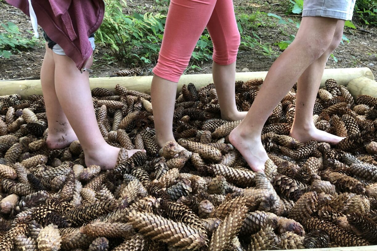 Sites Et Paysages Au Clos De La Chaume - Bild 12 Sites Et Paysages Au Clos De La Chaume - Bild 12