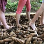 Sites Et Paysages Au Clos De La Chaume - Bild 12 Sites Et Paysages Au Clos De La Chaume - Bild 12