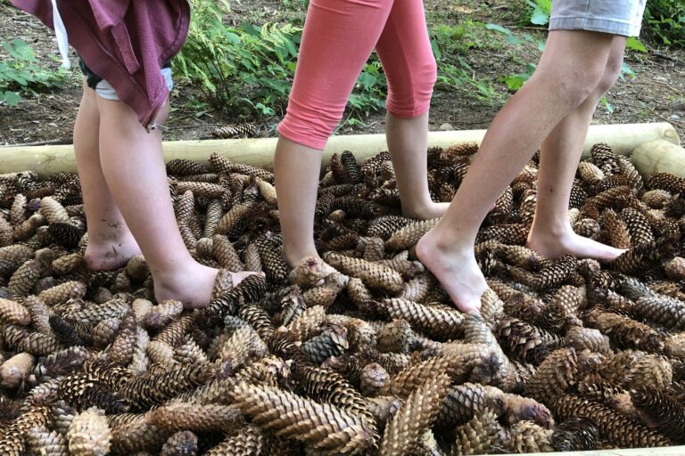 Sites Et Paysages Au Clos De La Chaume - Bild 12 Sites Et Paysages Au Clos De La Chaume - Bild 12