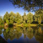 Sites Et Paysages Camping De L'etang - Bild 8 Sites Et Paysages Camping De L'etang - Bild 8