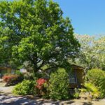 Sites Et Paysages Camping Le Petit Bois - Bild 3