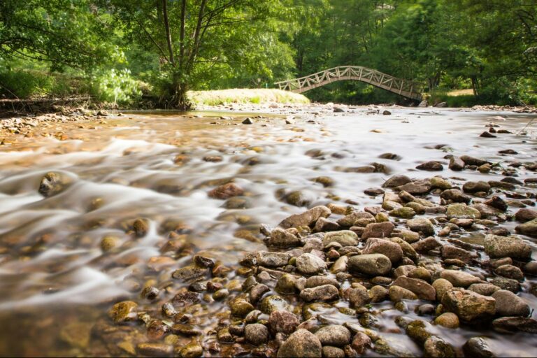 Sites Et Paysages De Vaubarlet - Bild 15