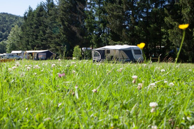 Sites Et Paysages De Vaubarlet - Bild 8