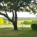 Sites Et Paysages Les Hirondelles - Bild 6