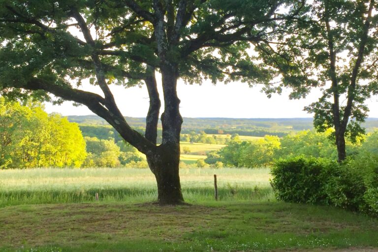 Sites Et Paysages Les Hirondelles - Bild 6