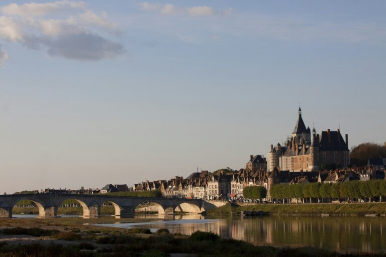 Sites Et Paysages Touristique De Gien - Bild 5