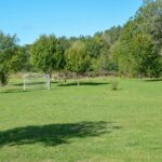 Skeppsdockans Camping & Vandrarhem - Bild 5