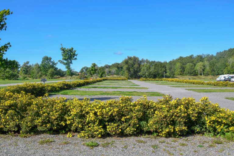 Skeppsdockans Camping & Vandrarhem - Bild 6