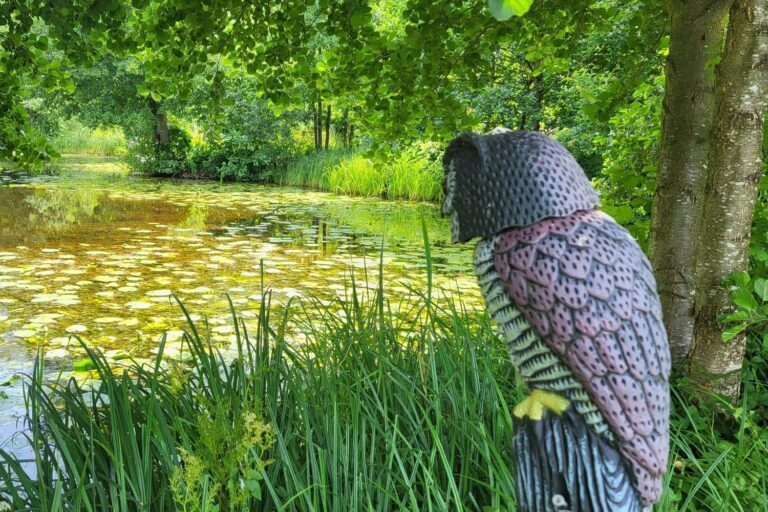 Skovly Camping - Bild 3