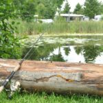 Skovly Camping - Bild 5