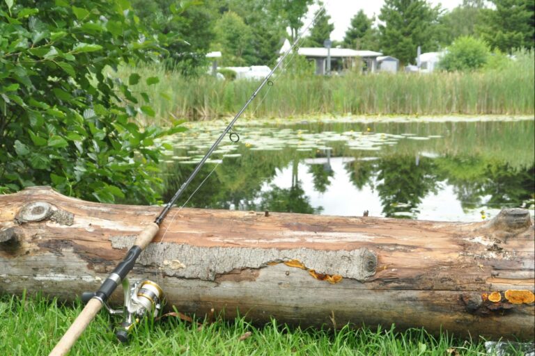 Skovly Camping - Bild 5