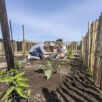 Slow Village Breizh Légendes - Bild 10