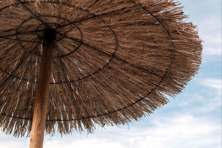 Slow Village Marennes Oléron - Bild 12 Slow Village Marennes Oléron - Bild 12