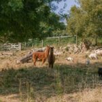 Slow Village Pornic - Bild 8