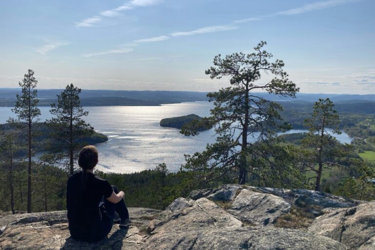 Snibbens Camping - Bild 10