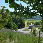 Sonnencamping Albstadt - Bild 12