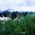 Sonnenplateau Camping Gerhardhof - Bild 17 Sonnenplateau Camping Gerhardhof - Bild 17