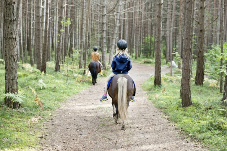 Sonnenplateau Camping Gerhardhof - Bild 7 Sonnenplateau Camping Gerhardhof - Bild 7