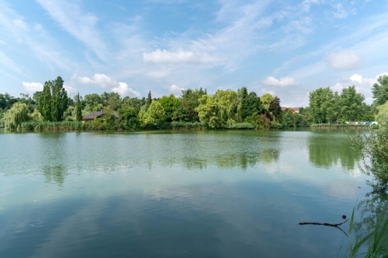 Sperrfechter Freizeitpark - Bild 7