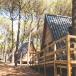 Spina Family Collection - Bild 7