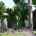 Stel Camping & Bungalows Resort - Bild 3