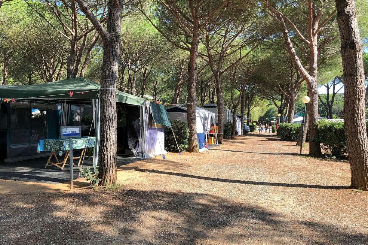 Stella Del Mare Family Collection - Bild 15 Stella Del Mare Family Collection - Bild 15