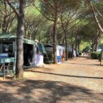 Stella Del Mare Family Collection - Bild 15 Stella Del Mare Family Collection - Bild 15