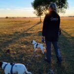 Stenåsa Stugor & Camping - Bild 11 Stenåsa Stugor & Camping - Bild 11