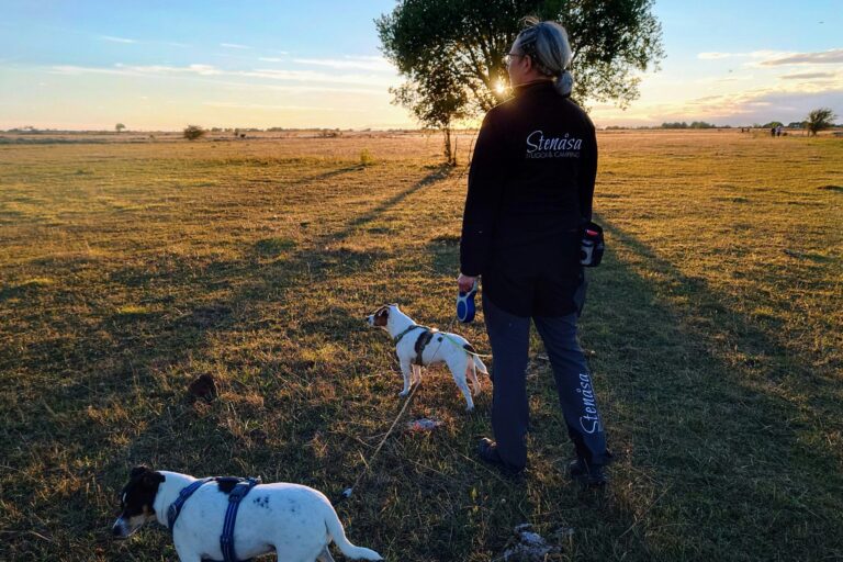 Stenåsa Stugor & Camping - Bild 11 Stenåsa Stugor & Camping - Bild 11