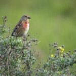 Stenåsa Stugor & Camping - Bild 14 Stenåsa Stugor & Camping - Bild 14