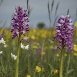 Stenåsa Stugor & Camping - Bild 15 Stenåsa Stugor & Camping - Bild 15