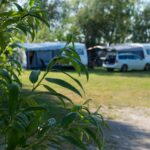 Stenåsa Stugor & Camping - Bild 3 Stenåsa Stugor & Camping - Bild 3