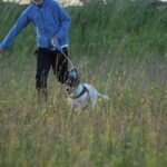 Stenåsa Stugor & Camping - Bild 7 Stenåsa Stugor & Camping - Bild 7