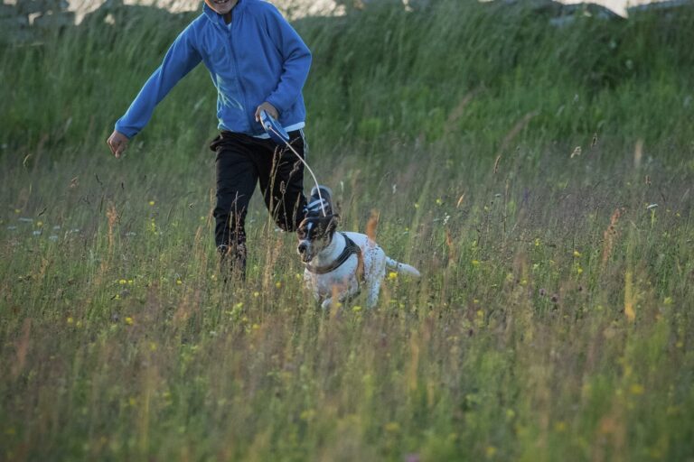 Stenåsa Stugor & Camping - Bild 7 Stenåsa Stugor & Camping - Bild 7